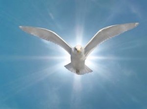Holy Spirit