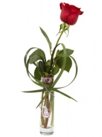 red-rose-bud-vase