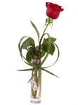 red-rose-bud-vase