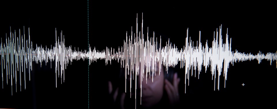 Detail of a forensic speech laboratory // Detalle de un laboratorio de fonetica y linguística forense. Foto: Gianluca Battista